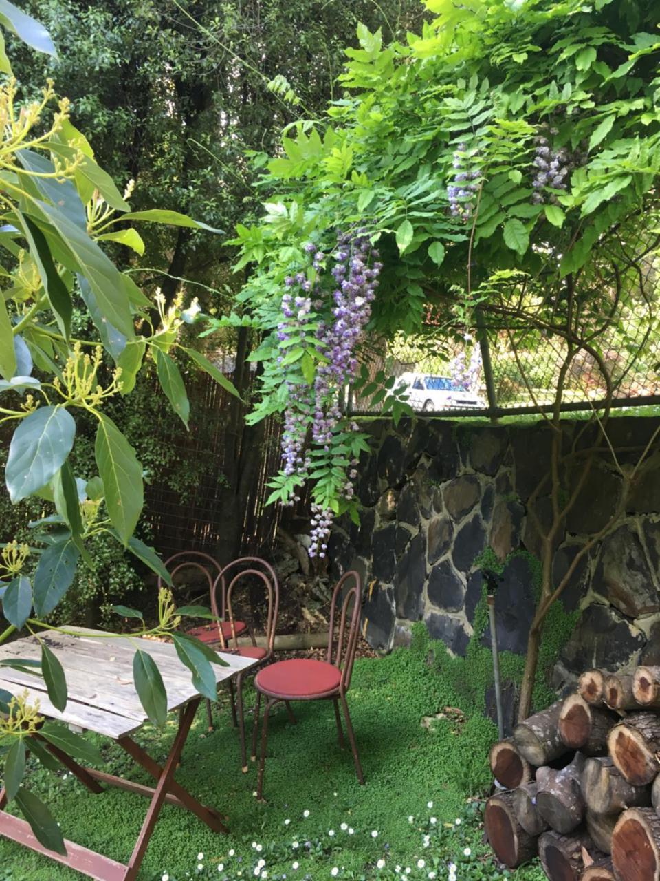 بلجريف Stone'S Throw Cottage Bed And Breakfast المظهر الخارجي الصورة